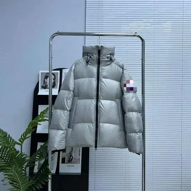 Celine Silver Hooded Down Jacket