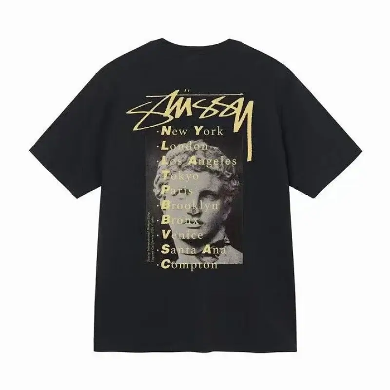 Stussy Black T-shirt with Back Logo & City Graphic